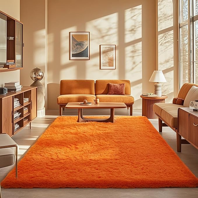 Ophanie Orange Rugs for Living Room Bedroom, 5x8 Fluffy Fuzzy Furry Carpet by Ophanie