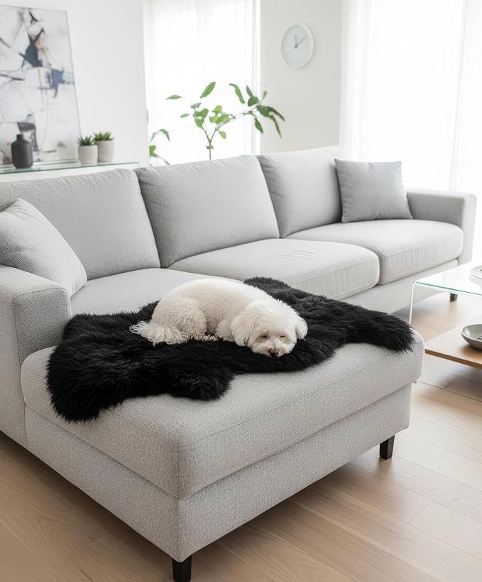 Super Area Rugs Black Sheepskin Rug Genuine Single 2x3ft Pelt Fluffy Fur Seat - Image 4