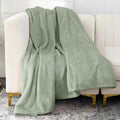 Nicole Miller Oversized Plush Fleece Throw Blanket – Ultra Soft, Lightweight & by NicoleMiller