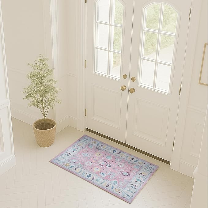 Fame Rugs Pink Modern Oushak Rug 2x3, Vintage Doormat Turkish Colorful Oriental by FameRugs