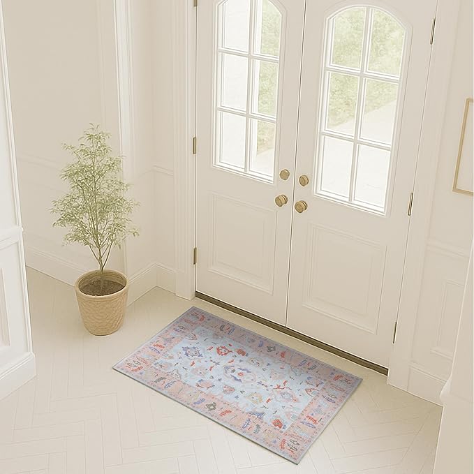 Fame Rugs Modern Oushak Rug 2x3, Vintage Doormat Turkish Colorful Oriental by FameRugs