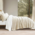RECYCO Luxury Velvet Quilt Twin/Twin XL Size Bedding Set, Ultra Soft Velvet by RECYCOHOMECOLLECTION