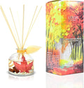 LOVSPA Reed Diffuser Set, Spiced Caramel Vanilla Scented Oil Diffuser by LOVSPA