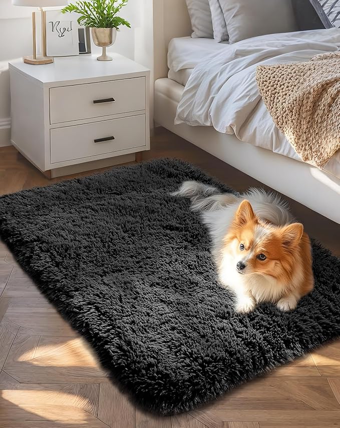 Ophanie Small Black Entryway Throw Rugs by Ophanie