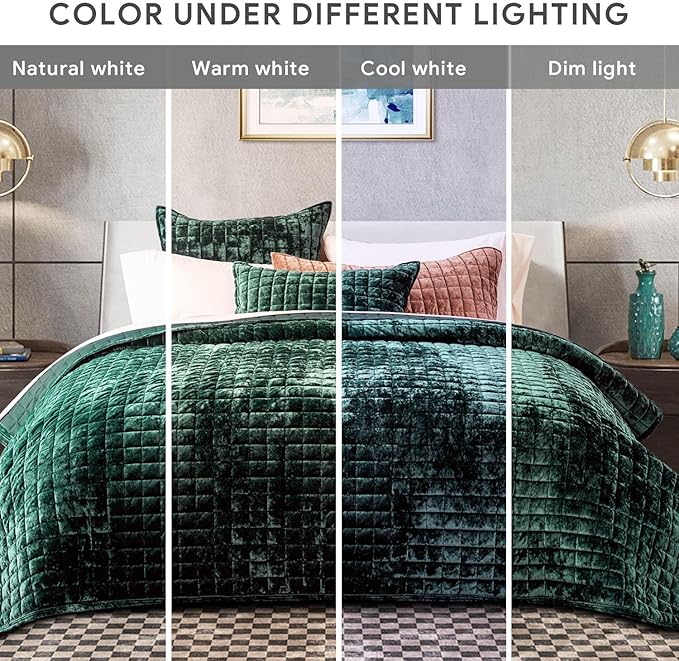 RECYCO Luxury Velvet Quilt Set King Size Bedding Sets, Ultra Soft Velvet - Image 7
