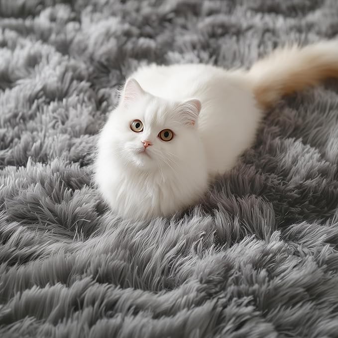 PAGISOFE Super Soft Runner Rugs - Image 6