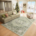 6×9 Machine Washable Rug for Living Room, Boho Vintage 6×9 Area Rug，Distressed by Hedwior