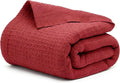 Salt Earth 100% Cotton Throw Blanket, Outdoor Couch, Office Couch, Modern Cozy by SaltEarth