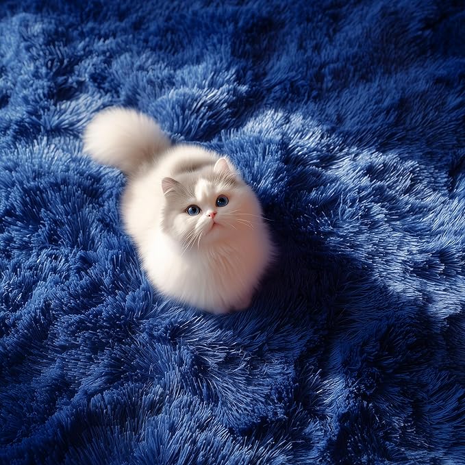 PAGISOFE Blue Rug 4x6 Ft Fluffy Shag Rugs - Image 8