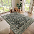 Washable 5x7 Area Rugs for Living Room, Boho Non-Slip Vintage Distress Rugs for by Hedwior