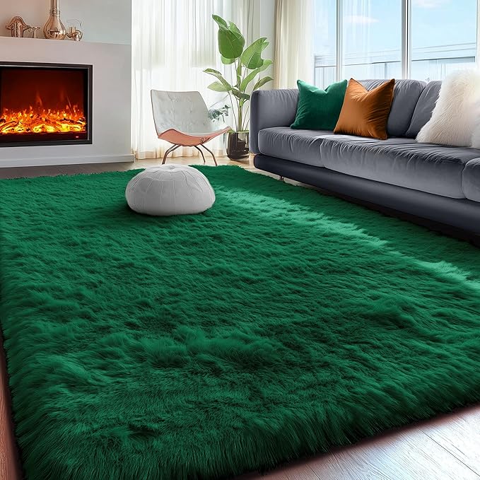 PAGISOFE Fluffy Shag Area Rug for Living Room, 5x8 Ft, Fluffy Shag Fuzzy Carpet by PAGISOFE