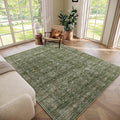 Washable 5x7 Area Rugs for Living Room, Boho Non-Slip Vintage Distress Rugs for by Hedwior