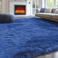 PAGISOFE Blue Rug 4x6 Ft Fluffy Shag Rugs by PAGISOFE