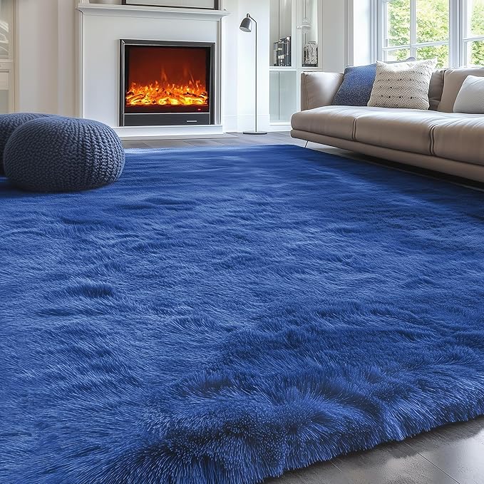 PAGISOFE Blue Rug 4x6 Ft Fluffy Shag Rugs by PAGISOFE