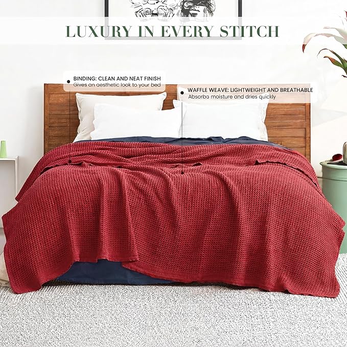 Salt Earth 100% Cotton Throw Blanket, Outdoor Couch Office Couch, Modern Cozy - Image 5