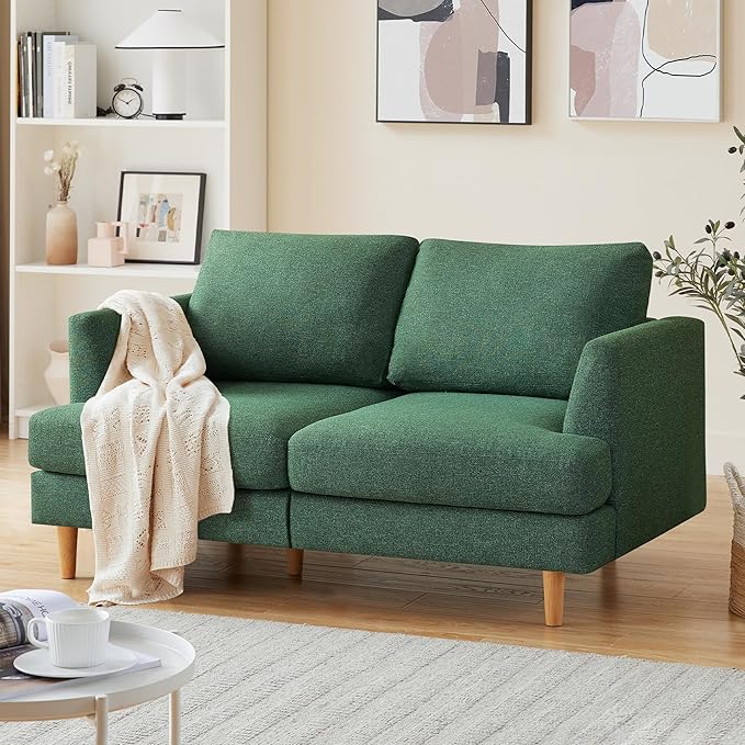 Loveseat Sofa 56", Small Couches by BUSAURUS
