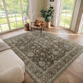Washable 5x7 Area Rugs for Living Room, Boho Non-Slip Vintage Distress Rugs for by Hedwior